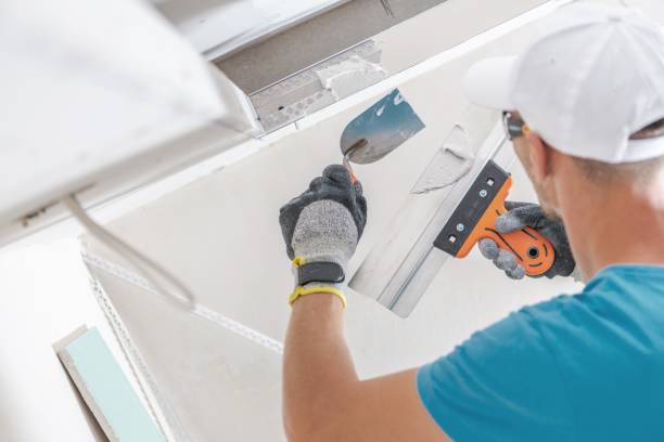 Best Water-Damaged Drywall Repair  in Watervliet, MI